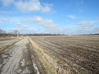 Property photo 12 - LAND AUCTION, 211+/- Acres offered in 3 Tracts